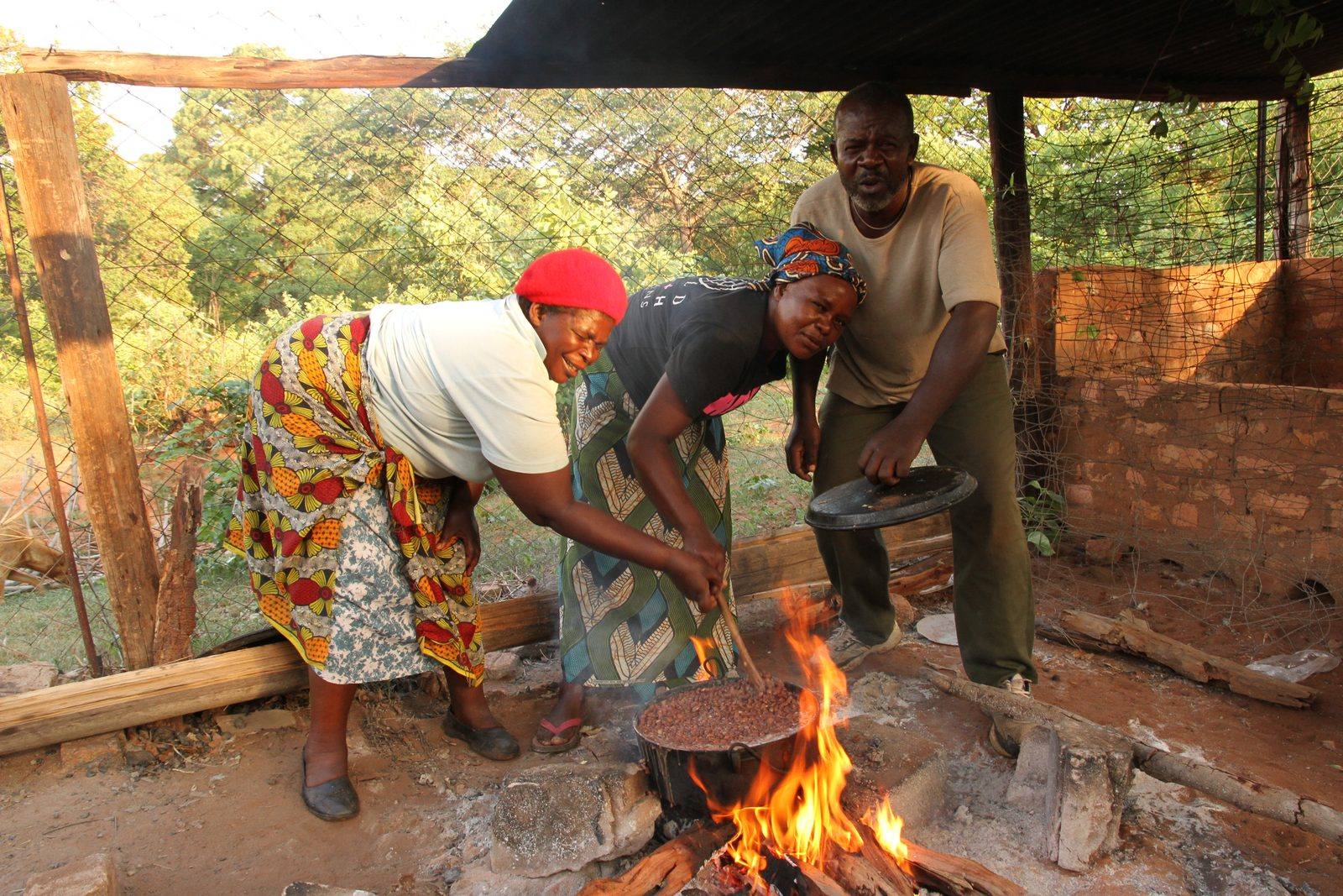 Ndhlovu, 29 novembre 2014