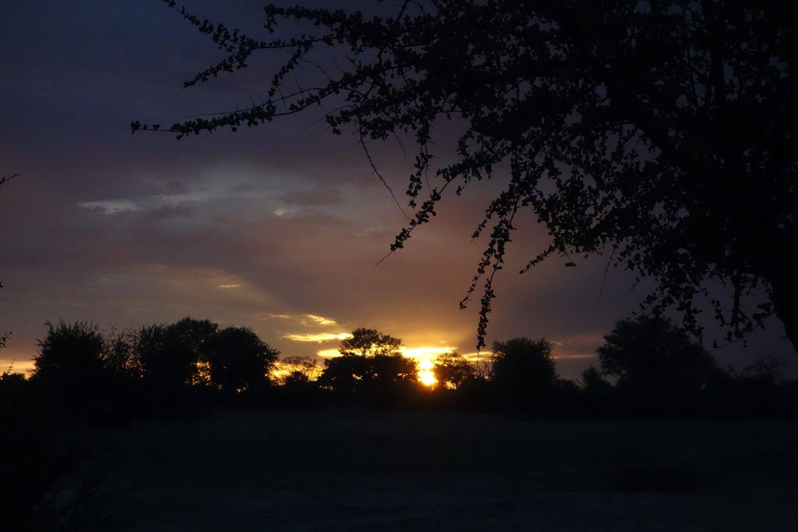 Tramonto nel bush