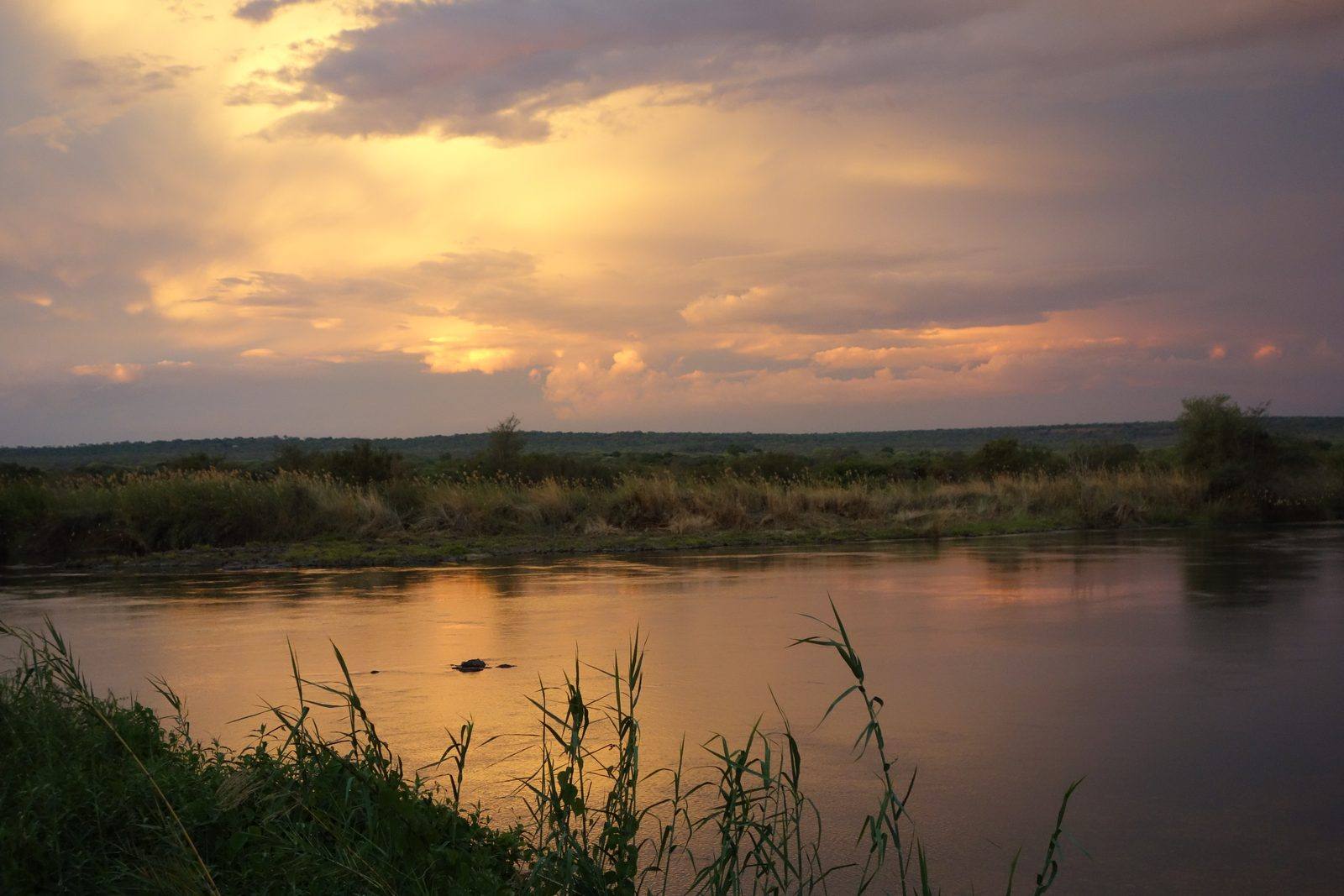 Il fiume al tramonto, dicembre 2014