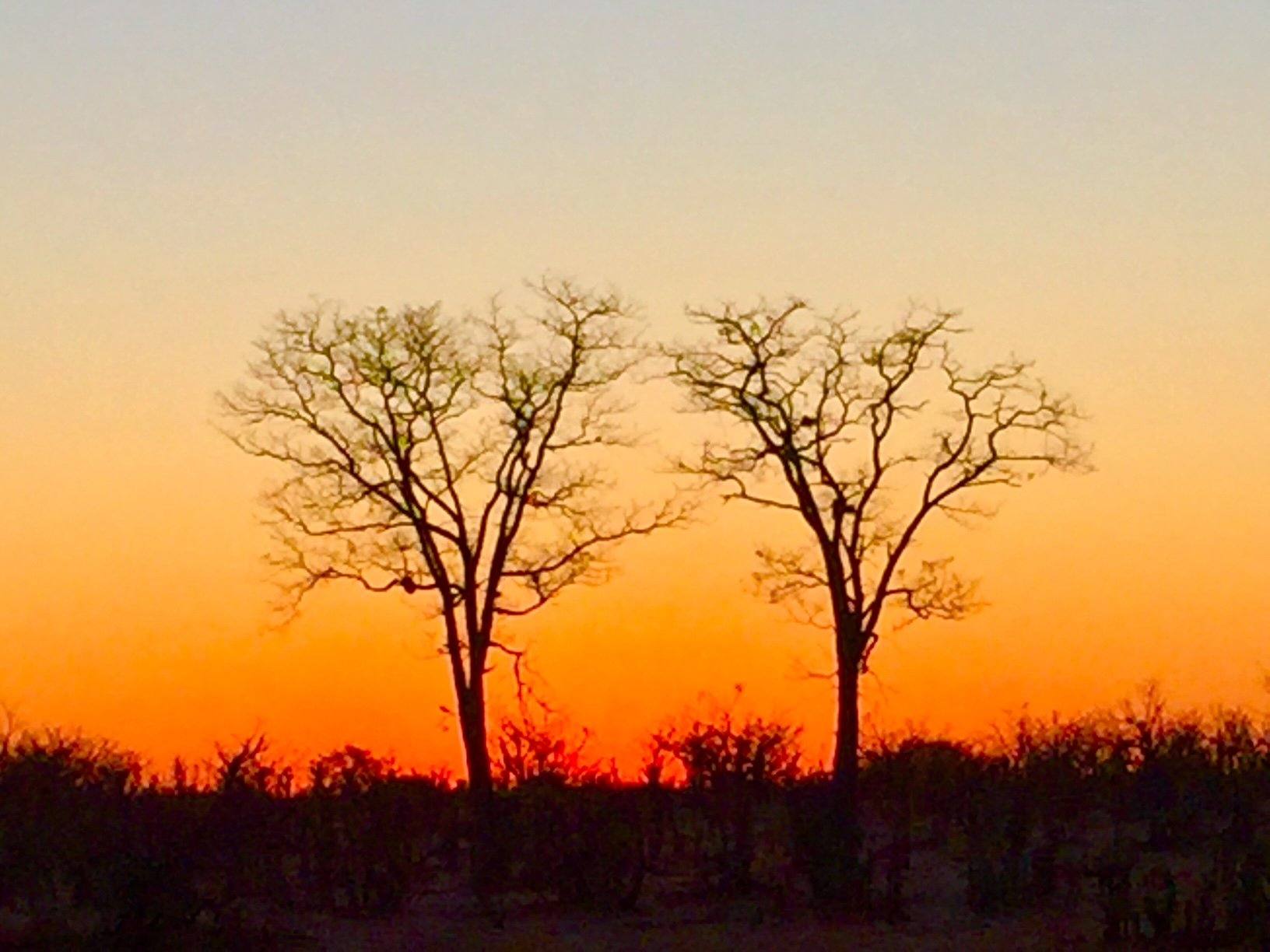 Tramonto nella savana
